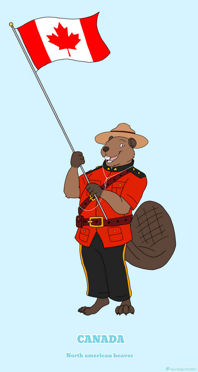National Animal Of Canada By OttoMorbach2006 On DeviantArt National animal of canada by ottomorbach2006 on deviantart