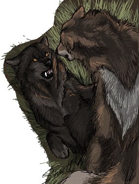 Wolf Fight by Silverwuff on DeviantArt