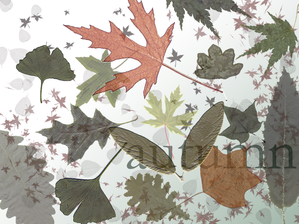 Autumn Leaves - Opacity Fun