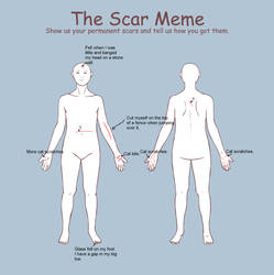 Scar Meme