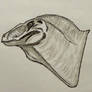 Jurassic World Rebirth Mutadon head sketch