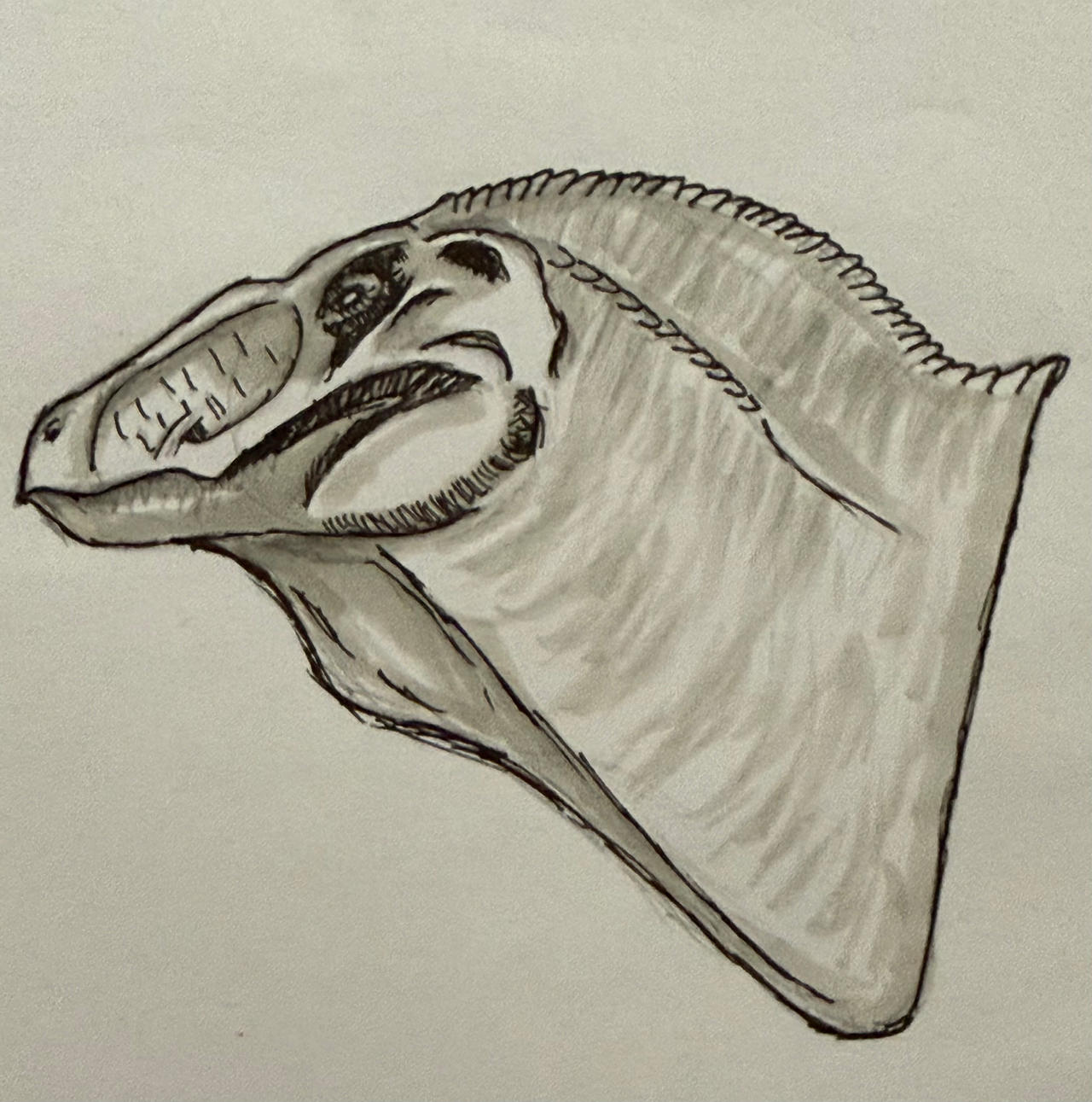 Deviantart Mutadon Jurassic World Rebirth Mutadon head sketch by Sigmadrawer277 on DeviantArt