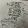 Spino evolution
