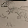 Terra gigantis spinosaurus( my own species)