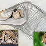 (unfinished) Africae Tyrannosaurum