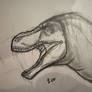 Paleoart of Sue the female Rex