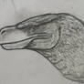 The Dinosaurs Utahraptor Sketch