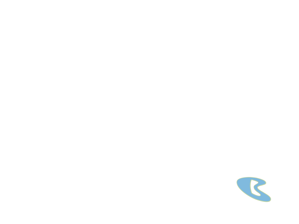 Boomerang Screen Bug Template (200002, 200809) by RabbitFilmMaker on