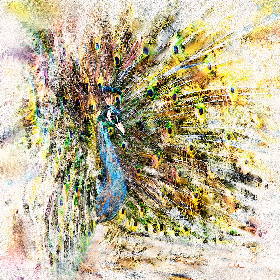 Peacock (Watercolor)
