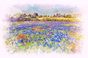 Bluebonnets Watercolor