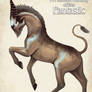 Unicorn- A Natural History of the Fantasic