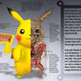Pikachu Anatomy- Pokedex Entry