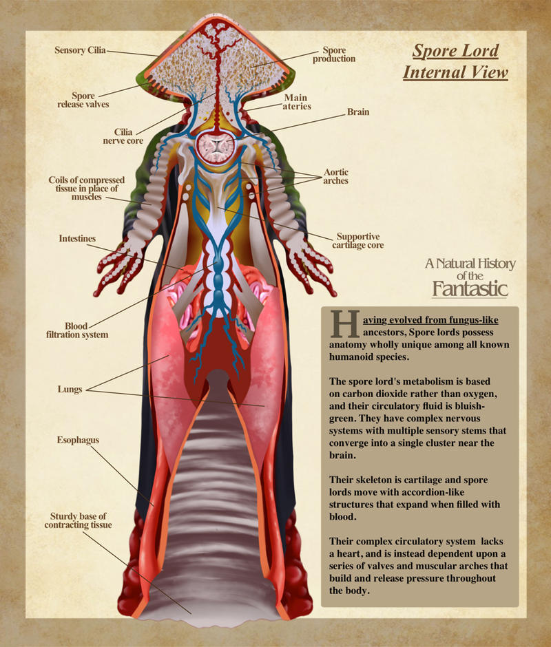 https://images-wixmp-ed30a86b8c4ca887773594c2.wixmp.com/f/1ccf0dd3-1aaf-48a1-a4ed-973b45b51493/d9owfl5-2e99d18f-4c36-4c3a-929c-b581d2ad7b4e.jpg/v1/fill/w_800,h_940,q_75,strp/spore_lore__a_natural_history_of_the_fantastic_by_christopher_stoll_d9owfl5-fullview.jpg?token=eyJ0eXAiOiJKV1QiLCJhbGciOiJIUzI1NiJ9.eyJzdWIiOiJ1cm46YXBwOjdlMGQxODg5ODIyNjQzNzNhNWYwZDQxNWVhMGQyNmUwIiwiaXNzIjoidXJuOmFwcDo3ZTBkMTg4OTgyMjY0MzczYTVmMGQ0MTVlYTBkMjZlMCIsIm9iaiI6W1t7ImhlaWdodCI6Ijw9OTQwIiwicGF0aCI6IlwvZlwvMWNjZjBkZDMtMWFhZi00OGExLWE0ZWQtOTczYjQ1YjUxNDkzXC9kOW93Zmw1LTJlOTlkMThmLTRjMzYtNGMzYS05MjljLWI1ODFkMmFkN2I0ZS5qcGciLCJ3aWR0aCI6Ijw9ODAwIn1dXSwiYXVkIjpbInVybjpzZXJ2aWNlOmltYWdlLm9wZXJhdGlvbnMiXX0.djE8emLbZ3WbKPfv1xSUtGvZcQNOQ6RmNE-rc5GzWwM