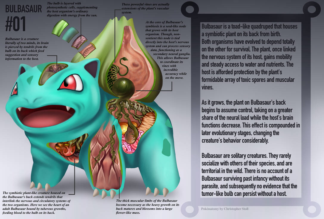 Bulbasaur Anatomy- Pokedex Entry by Christopher-Stoll