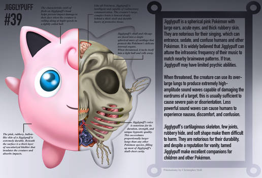 Jigglypuff Anatomy- Pokedex Entry