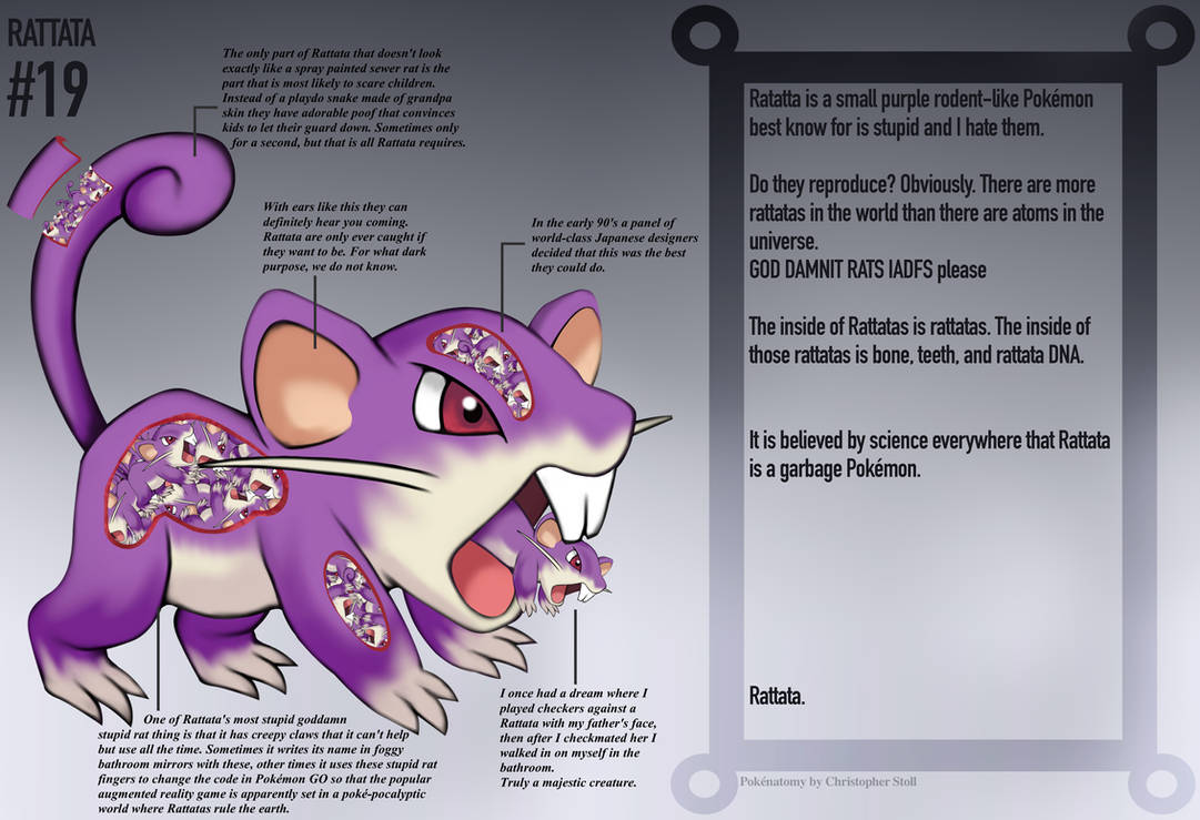 Rattata Anatomy Jokedex Entry By Christopher Stoll On Deviantart Rattata Anatomy Jokedex Entry By Christopher Stoll On Deviantart