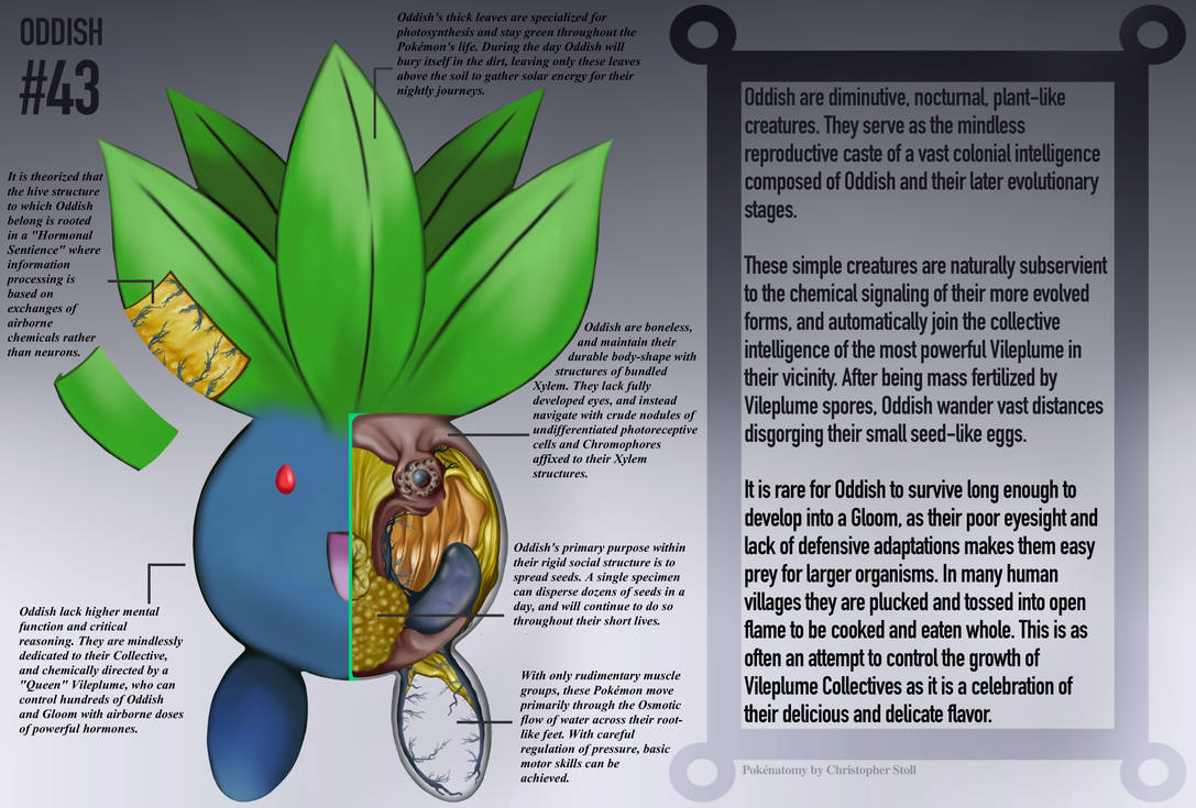 Oddish Anatomy- Pokedex Entry by Christopher-Stoll
