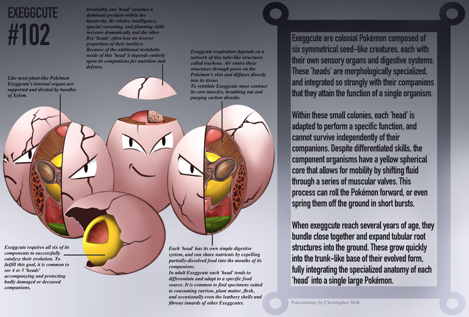 Exeggcute- Pokedex Entry by Christopher-Stoll