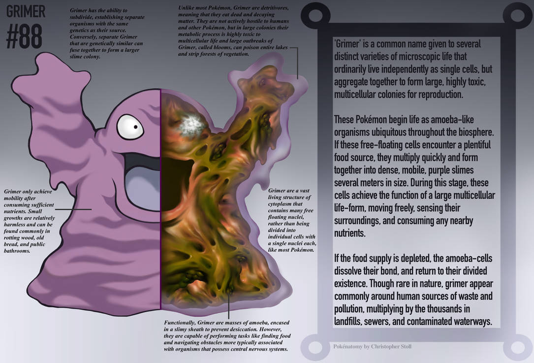 Grimer Anatomy- Pokedex Entry by Christopher-Stoll