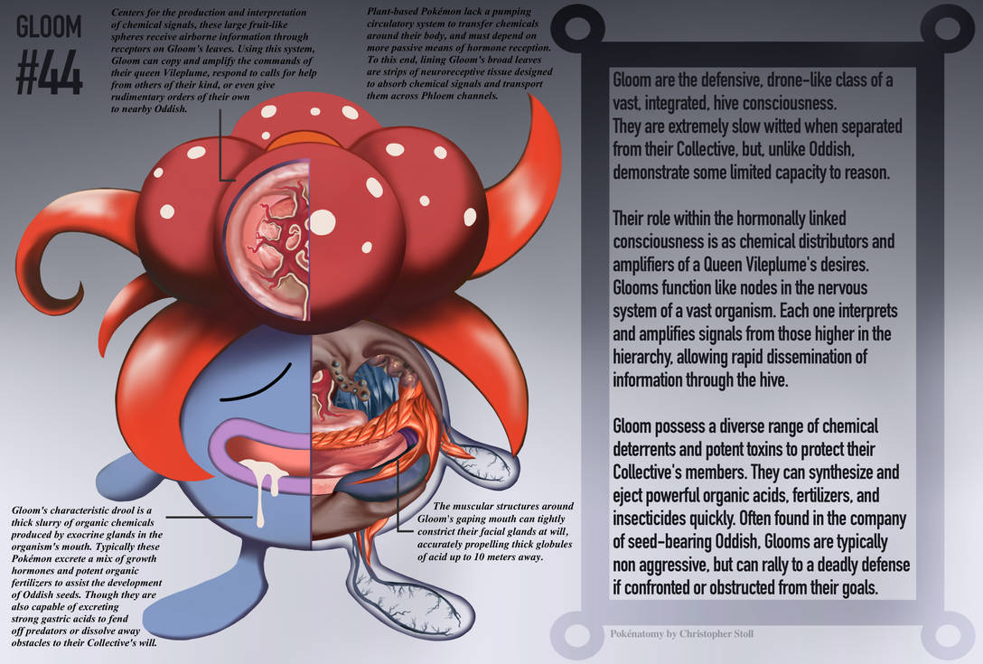 Voltorb Anatomy- Pokedex Entry by Christopher-Stoll on DeviantArt