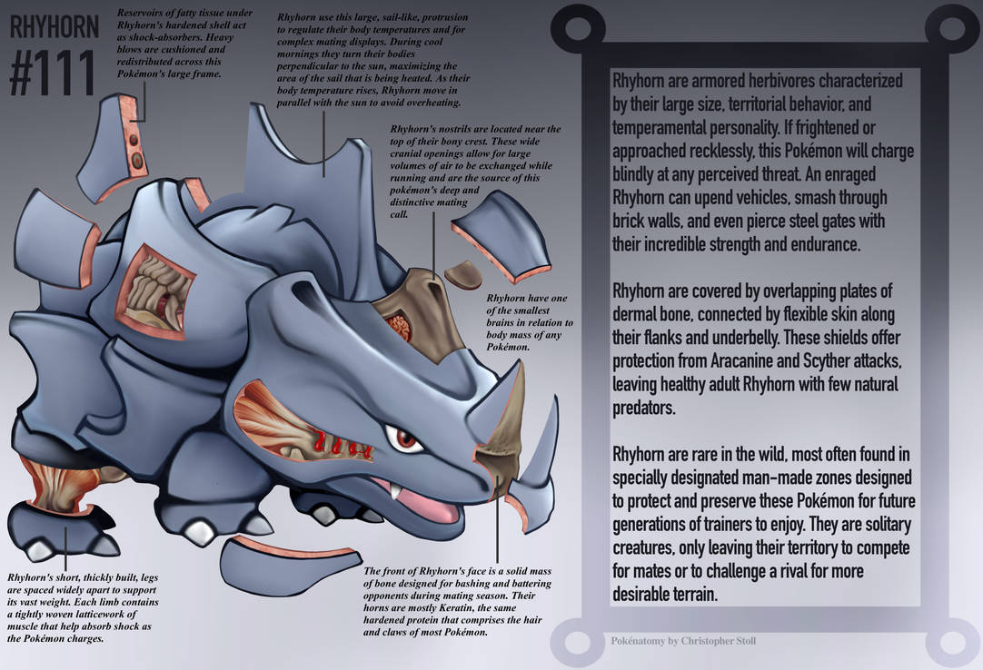 Rhyhorn Anatomy- Pokedex Entry by Christopher-Stoll