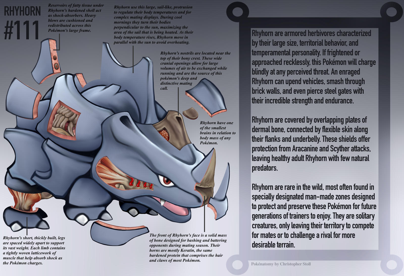 Rhyhorn Anatomy- Pokedex Entry by Christopher-Stoll