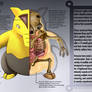 Drowzee Anatomy- Pokedex Entry