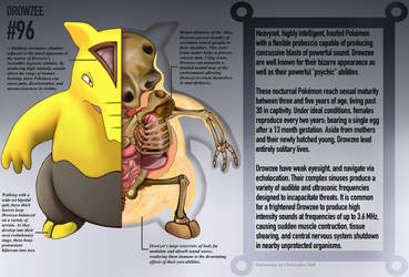 Drowzee Anatomy- Pokedex Entry