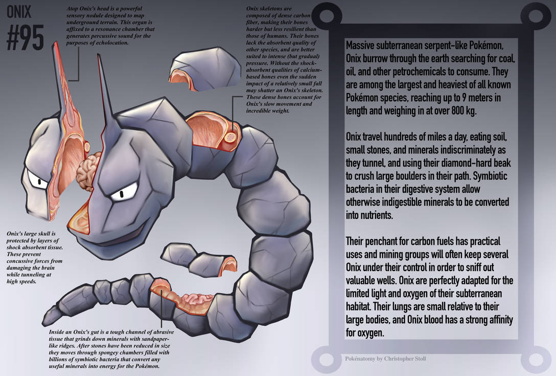 Onix Anatomy Pokedex Entry By Christopher Stoll On Deviantart Onix Anatomy Pokedex Entry By Christopher Stoll On Deviantart