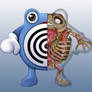 Poliwhirl Anatomy