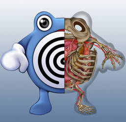 Poliwhirl Anatomy