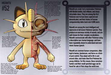 Meowth Anatomy- Pokedex Entry by Christopher-Stoll