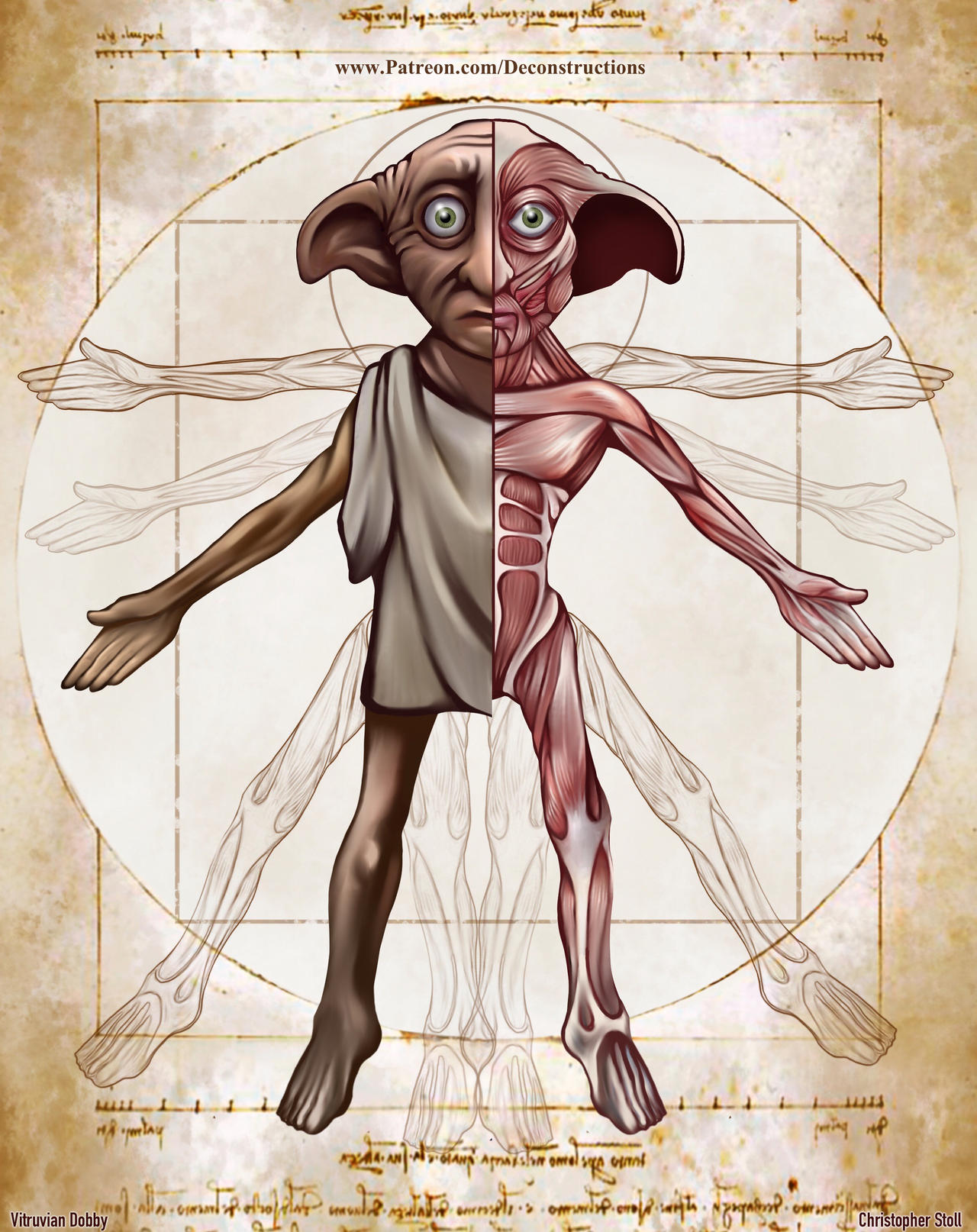 Dobby Deconstructed by Christopher-Stoll on DeviantArt