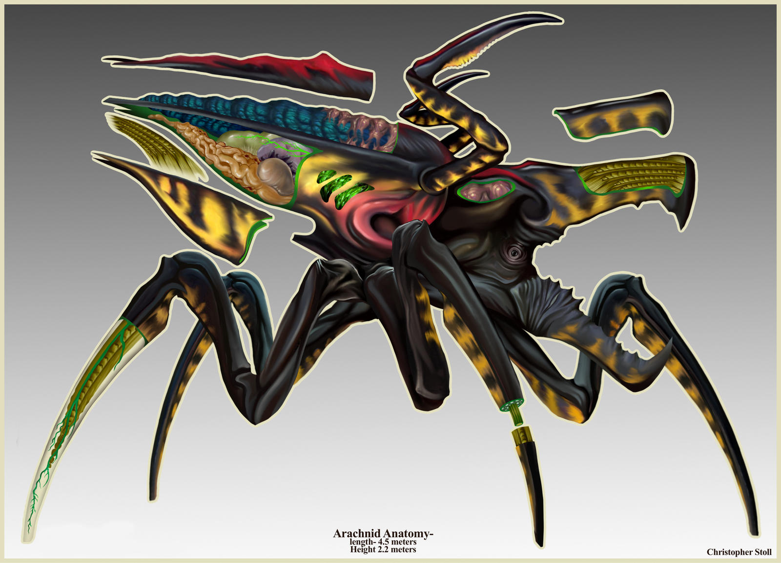 Arachnid Warrior  Warrior Bug from Starship Troopers Fun fa