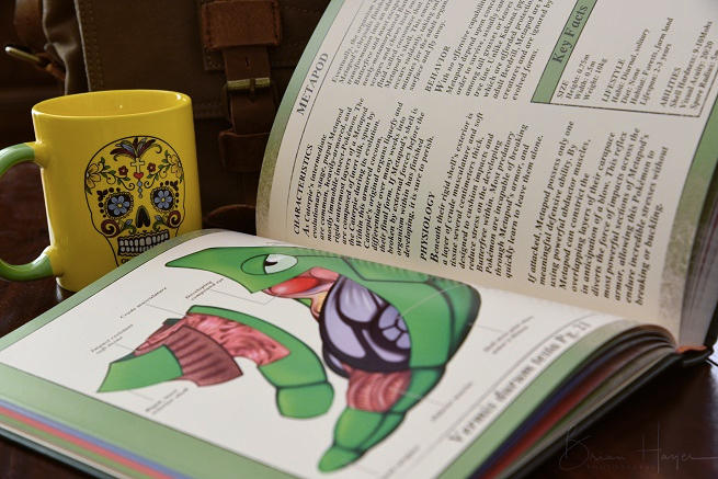 Metapod-1018301 by Christopher-Stoll Metapod-1018301 by Christopher-Stoll