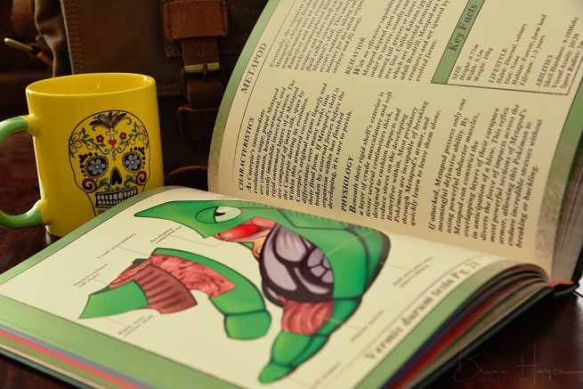 Metapod-1018301 by Christopher-Stoll Metapod-1018301 by Christopher-Stoll