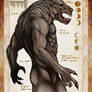 Werewolf Biology and Behavior