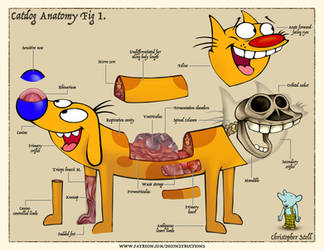 CATDOG Anatomical Deconstruction by Christopher-Stoll