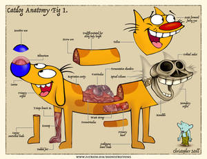 CATDOG Anatomical Deconstruction