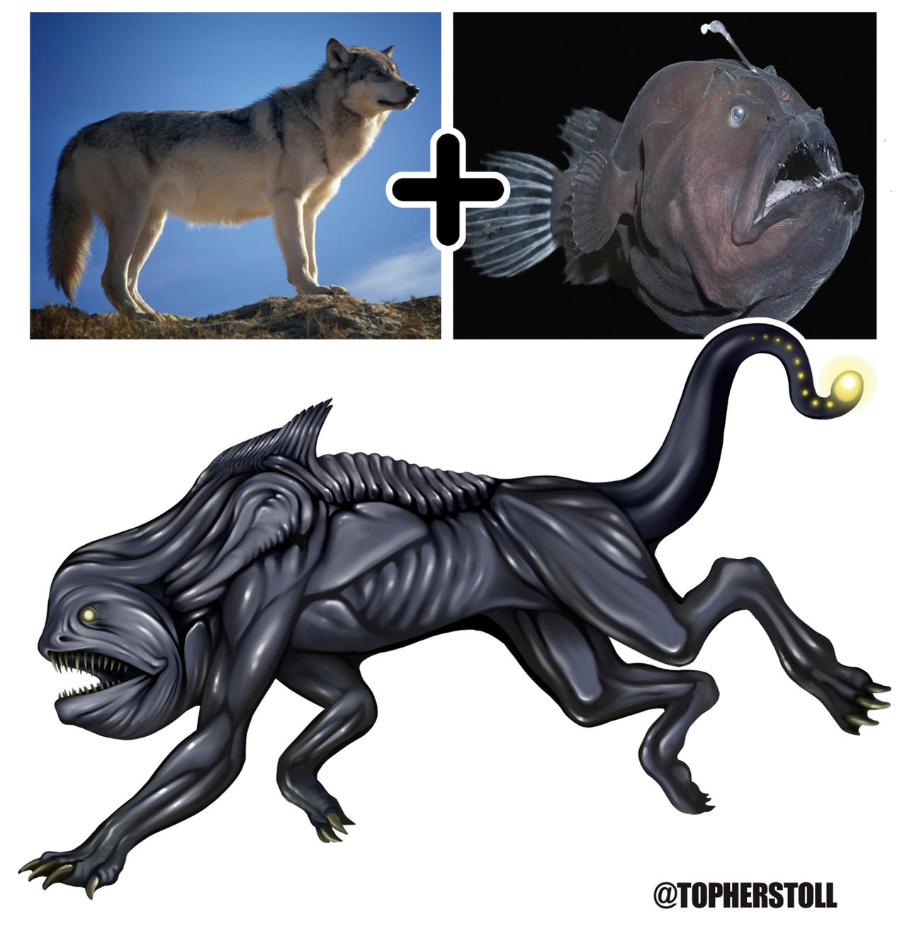 Creature Design Combo- Wolf, Angler Fish by Christopher-Stoll on DeviantArt
