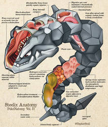 Steelix Anatomy PokeNatomy II