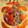 Jack o' Lantern Anatomy - Halloween Art