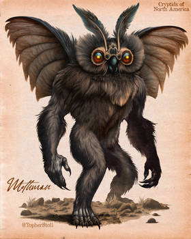 Mothman Naturalist Illustration - Cryptid