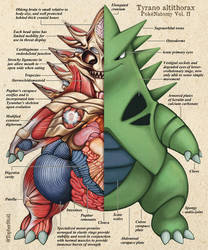 Tyranitar Anatomy - PokeNatomy