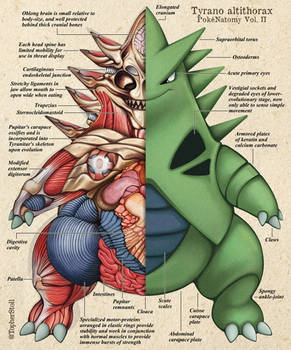 Tyranitar Anatomy - PokeNatomy