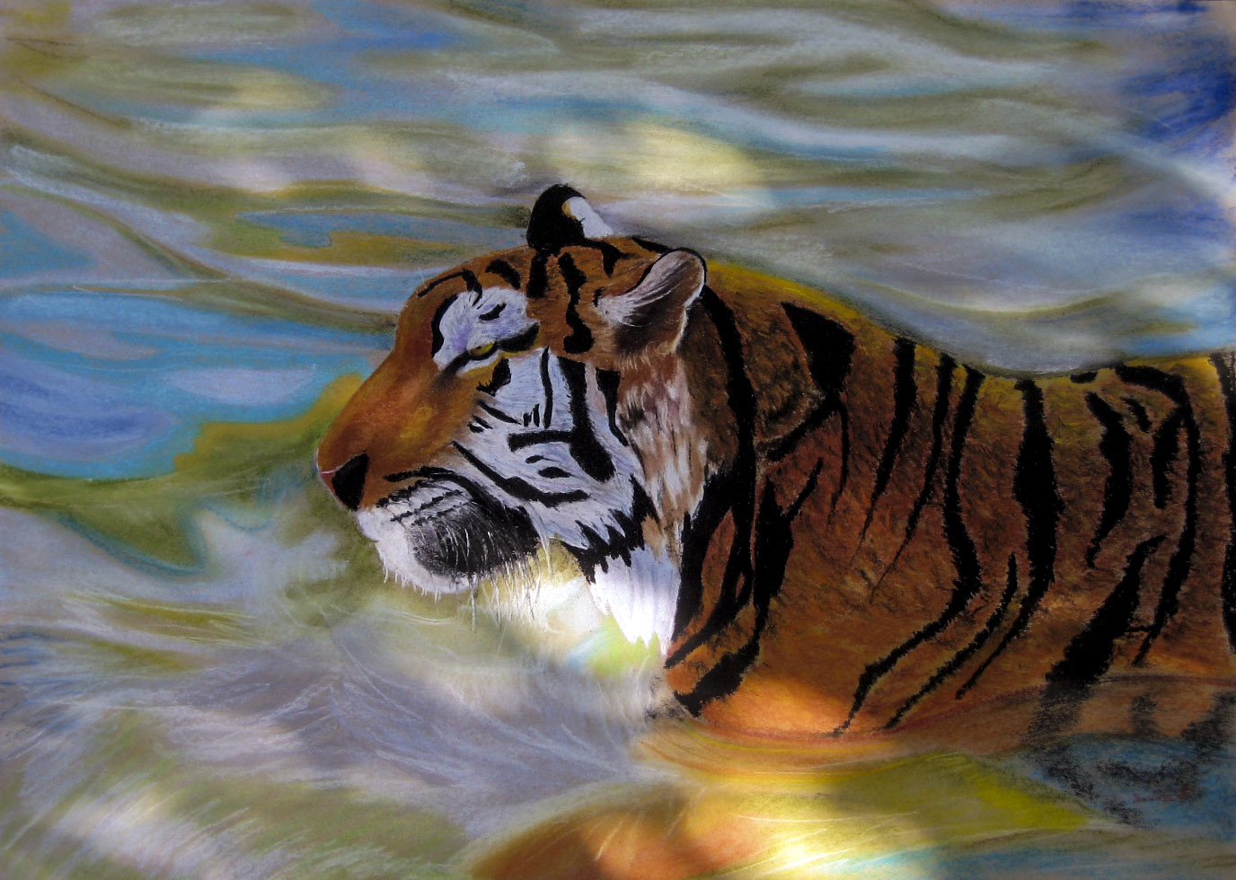 Tiger in water