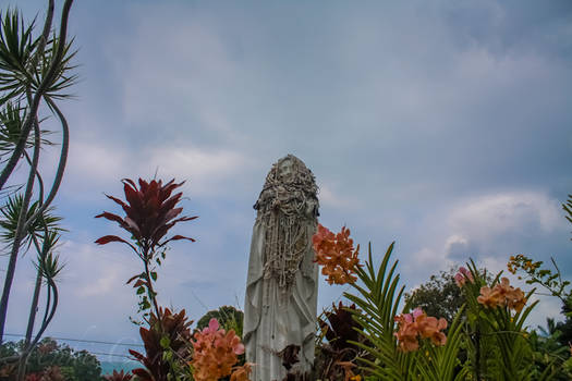 Mary in Hawaii