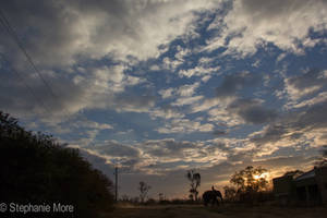 Sunset at Masinagudi Elephant Reserve in India
