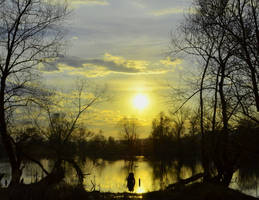 Sunset in the Swamp