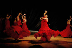 Flamenco 02